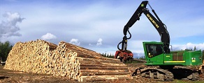 Foresty Engines